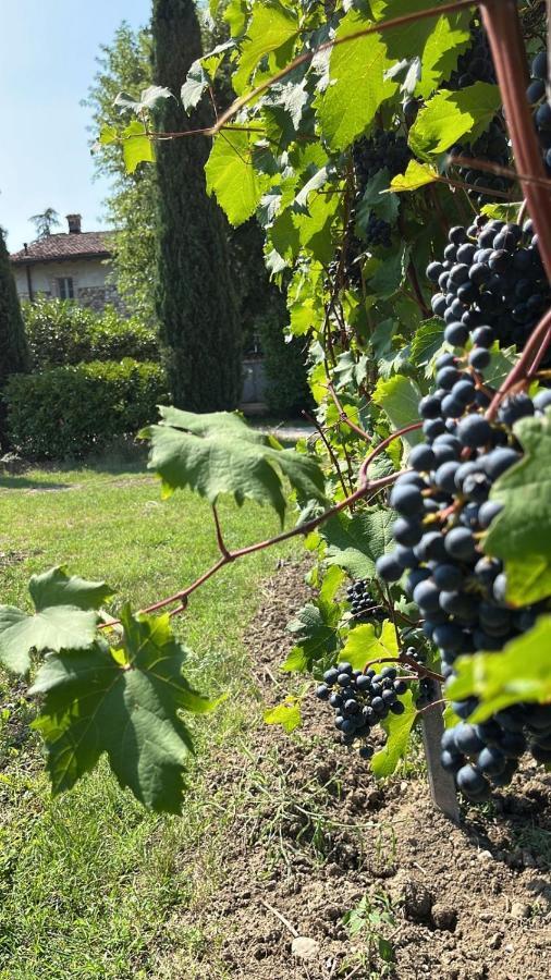 Cà Vittoria Apartamento Desenzano del Garda Exterior foto
