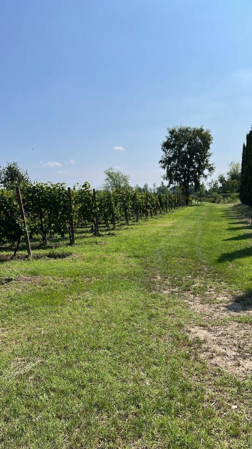 Cà Vittoria Apartamento Desenzano del Garda Exterior foto
